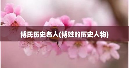 傅氏历史名人(傅姓的历史人物)