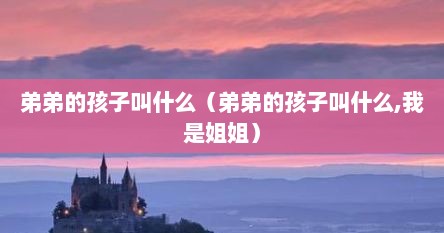 弟弟的孩子叫什么（弟弟的孩子叫什么,我是姐姐）
