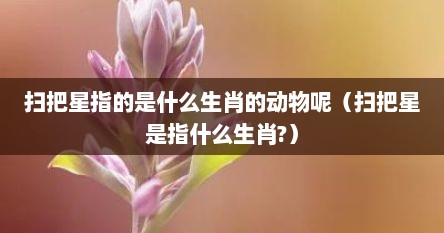 扫把星指的是什么生肖的动物呢（扫把星是指什么生肖?）