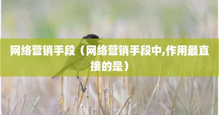 网络营销手段（网络营销手段中,作用最直接的是）