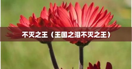不灭之王（王国之泪不灭之王）
