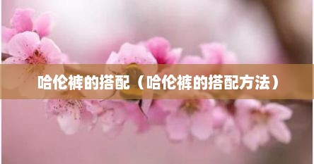哈伦裤的搭配（哈伦裤的搭配方法）