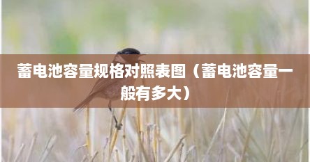 蓄电池容量规格对照表图（蓄电池容量一般有多大）