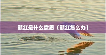 颧红是什么意思（颧红怎么办）