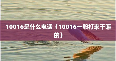 10016是什么电话（10016一般打来干嘛的）