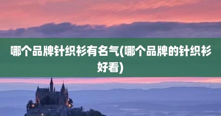 哪个品牌针织衫有名气(哪个品牌的针织衫好看)