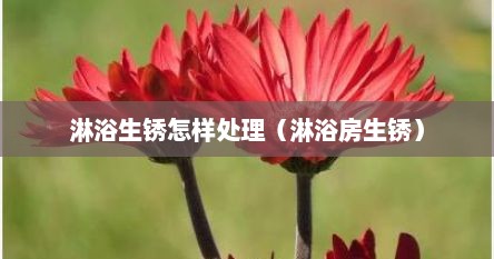 淋浴生锈怎样处理（淋浴房生锈）