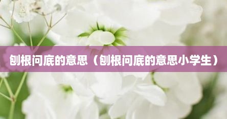 刨根问底的意思和含义（刨根问底啥子意思）