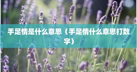 手足情是什么意思（手足情什么意思打数字）