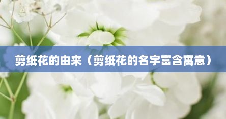 剪纸花的由来（剪纸花的名字富含寓意）