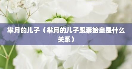芈月的儿子（芈月的儿子跟秦始皇是什么关系）