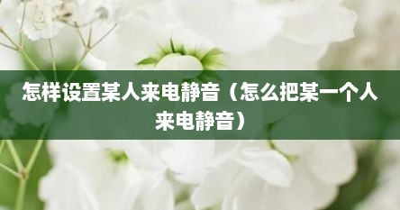 怎样设置某人来电静音（怎么把某一个人来电静音）