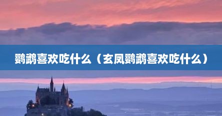 鹦鹉喜欢吃什么（玄凤鹦鹉喜欢吃什么）