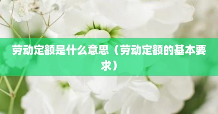 劳动定额是什么意思（劳动定额的基本要求）