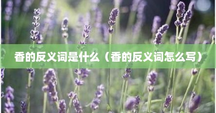 香的反义词是什么（香的反义词怎么写）