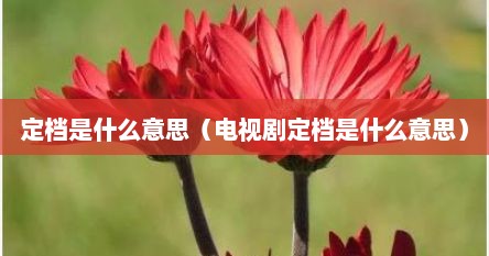 定档是什么意思（电视剧定档是什么意思）