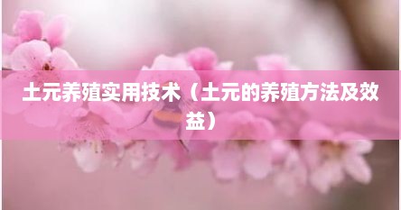 土元养殖实用技术（土元的养殖方法及效益）
