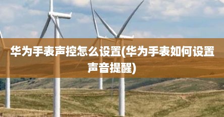 华为手表声控怎么设置(华为手表如何设置声音提醒)