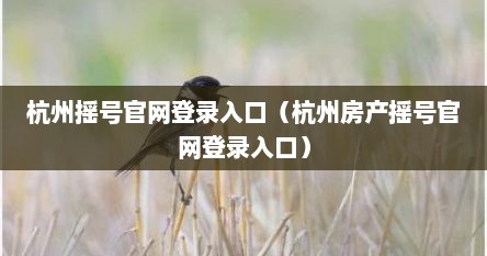 杭州摇号官网登录入口（杭州房产摇号官网登录入口）