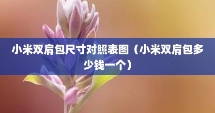 小米双肩包尺寸对照表图（小米双肩包多少钱一个）