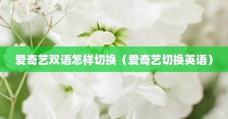爱奇艺双语怎样切换（爱奇艺切换英语）