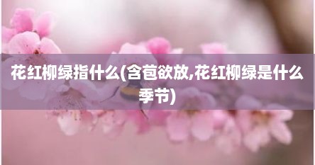 花红柳绿指什么(含苞欲放,花红柳绿是什么季节)