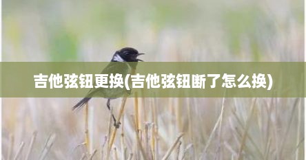 吉他弦钮更换(吉他弦钮断了怎么换)