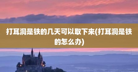 打耳洞是铁的几天可以取下来(打耳洞是铁的怎么办)