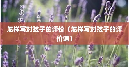 怎样写对孩子的评价（怎样写对孩子的评价语）