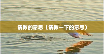 请教的意思（请教一下的意思）