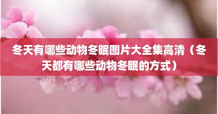 冬天有哪些动物冬眠图片大全集高清（冬天都有哪些动物冬眠的方式）