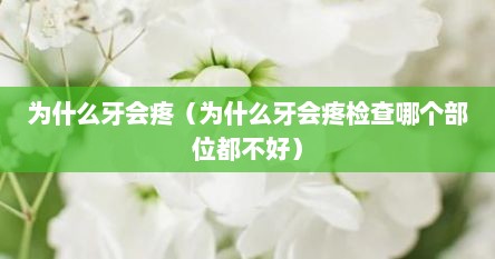 为什么牙会疼（为什么牙会疼检查哪个部位都不好）