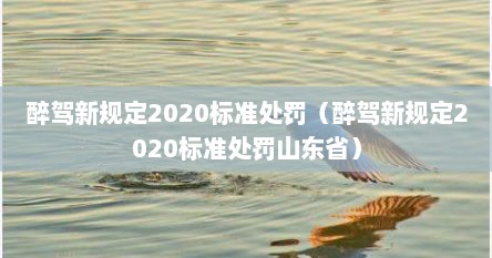 醉驾新规定2020标准处罚（醉驾新规定2020标准处罚山东省）