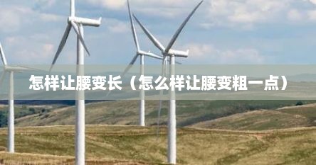 怎样让腰变长（怎么样让腰变粗一点）