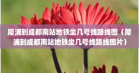 犀浦到成都南站地铁坐几号线路线图（犀浦到成都南站地铁坐几号线路线图片）