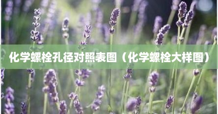 化学螺栓孔径对照表图（化学螺栓大样图）