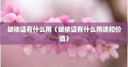 皈依证有什么用（皈依证有什么用途和价值）