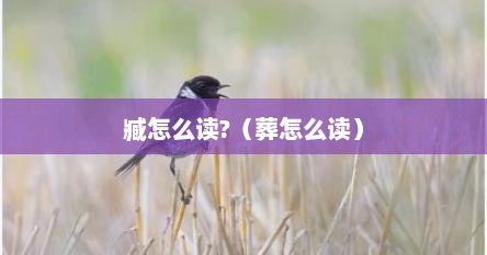 臧鋆怎么读（臧这个字怎么念）