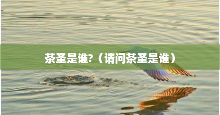 茶圣是谁?（请问茶圣是谁）