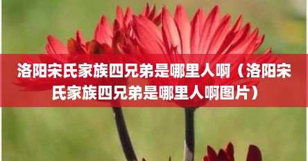 洛阳宋氏家族四兄弟是哪里人啊（洛阳宋氏家族四兄弟是哪里人啊图片）