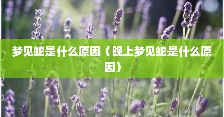 梦见蛇是什么原因（晚上梦见蛇是什么原因）