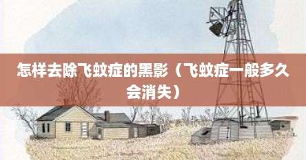 怎样去除飞蚊症的黑影（飞蚊症一般多久会消失）