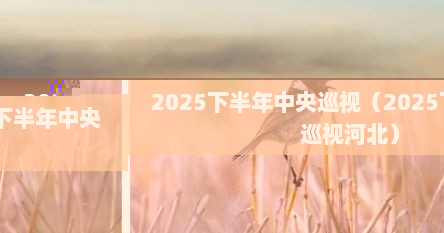 2025下半年中央巡视（2025下半年中央巡视河北）