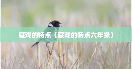 藏戏的特点（藏戏的特点六年级）