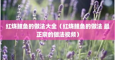 红烧鲤鱼的做法大全（红烧鲤鱼的做法 最正宗的做法视频）