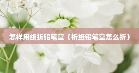 怎样用纸折铅笔盒（折纸铅笔盒怎么折）