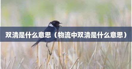 双清是什么意思（物流中双清是什么意思）