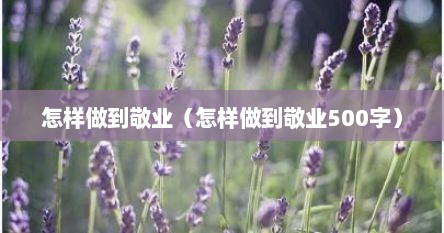 怎样做到敬业（怎样做到敬业500字）