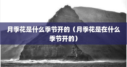 月季花是什么季节开的（月季花是在什么季节开的）