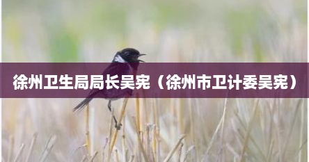 徐州卫生局局长吴宪（徐州市卫计委吴宪）